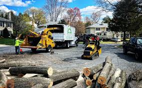 Best Seasonal Cleanup (Spring/Fall)  in Chocowinity, NC